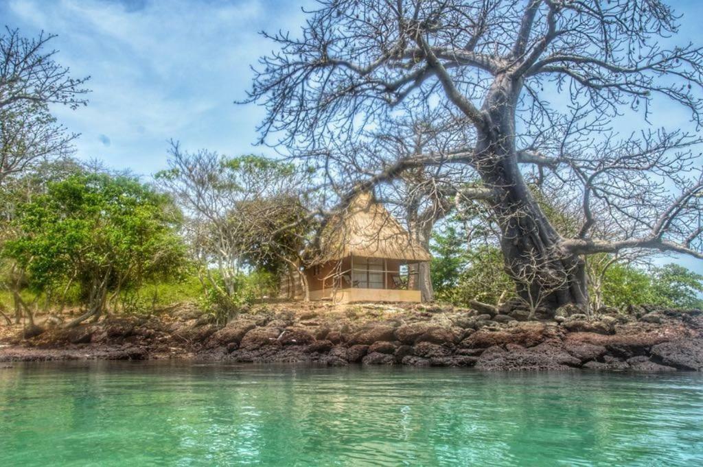 African Ecolodge Angurman Брюс Экстерьер фото